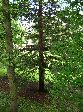 2006-0605-1612-37.jpg